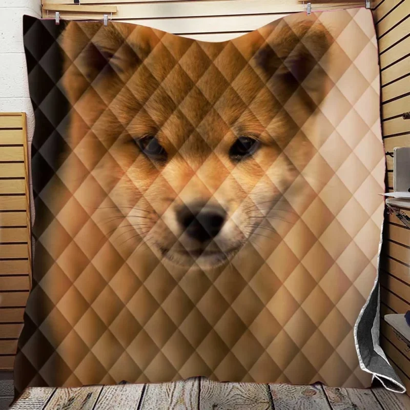 Furry Harmony: Playful Puppies in the Akita Quartet Quilt Blanket