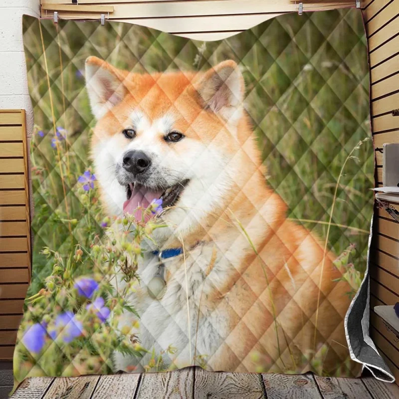 Graceful Amidst Flowers: The Akita Quartet Quilt Blanket