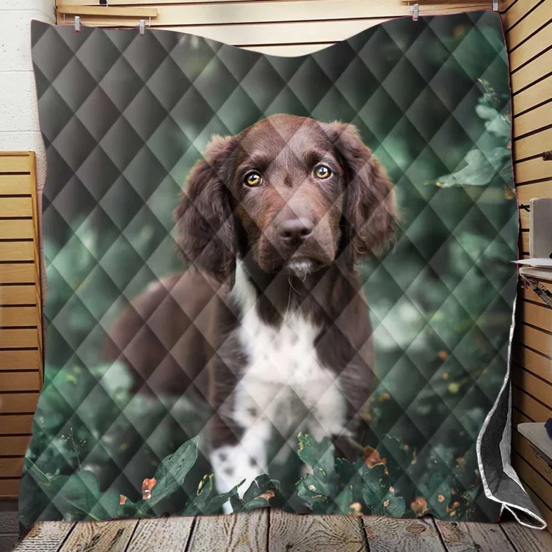 Graceful Spaniel Quartet Quilt Blanket