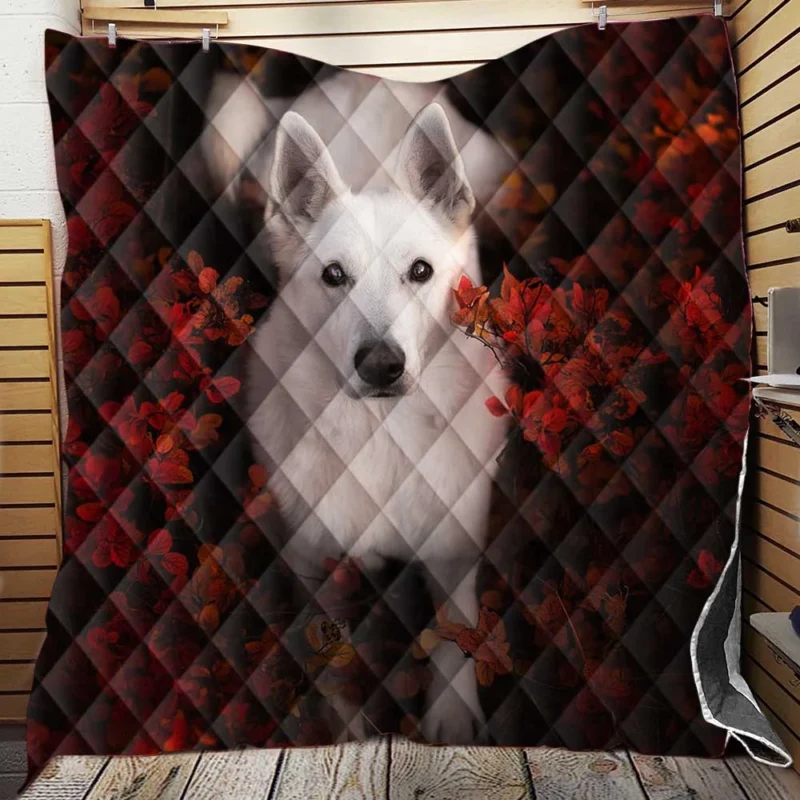 Graceful Swiss Companions: White Shepherd Quartet Quilt Blanket