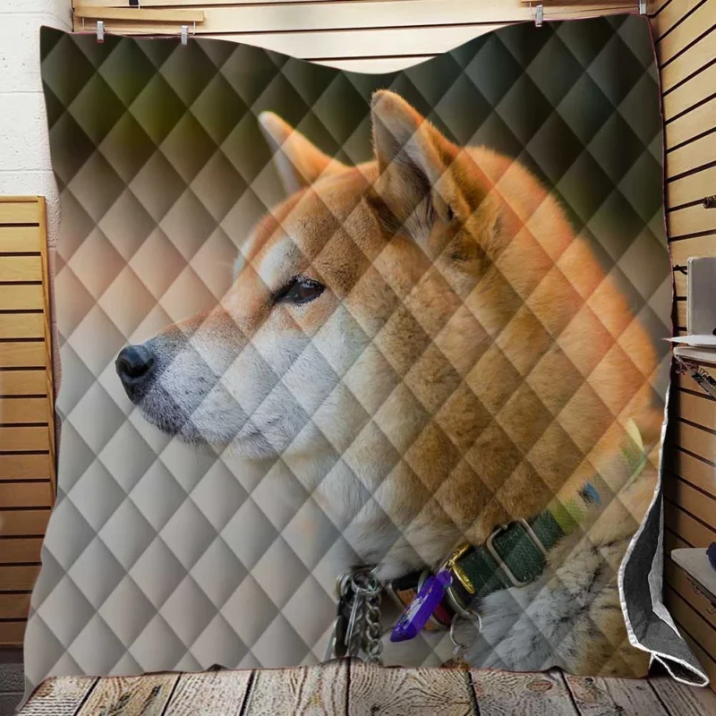 Graceful and Elegant: Shiba Inu Quartet Quilt Blanket