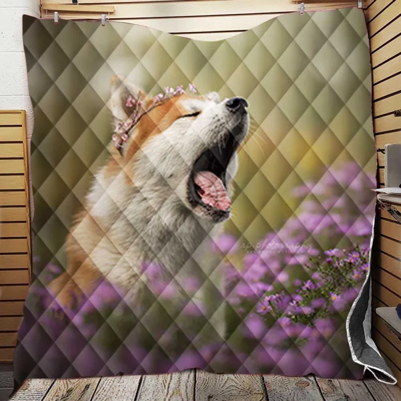 Graceful and Majestic: The Akita Quartet Quilt Blanket