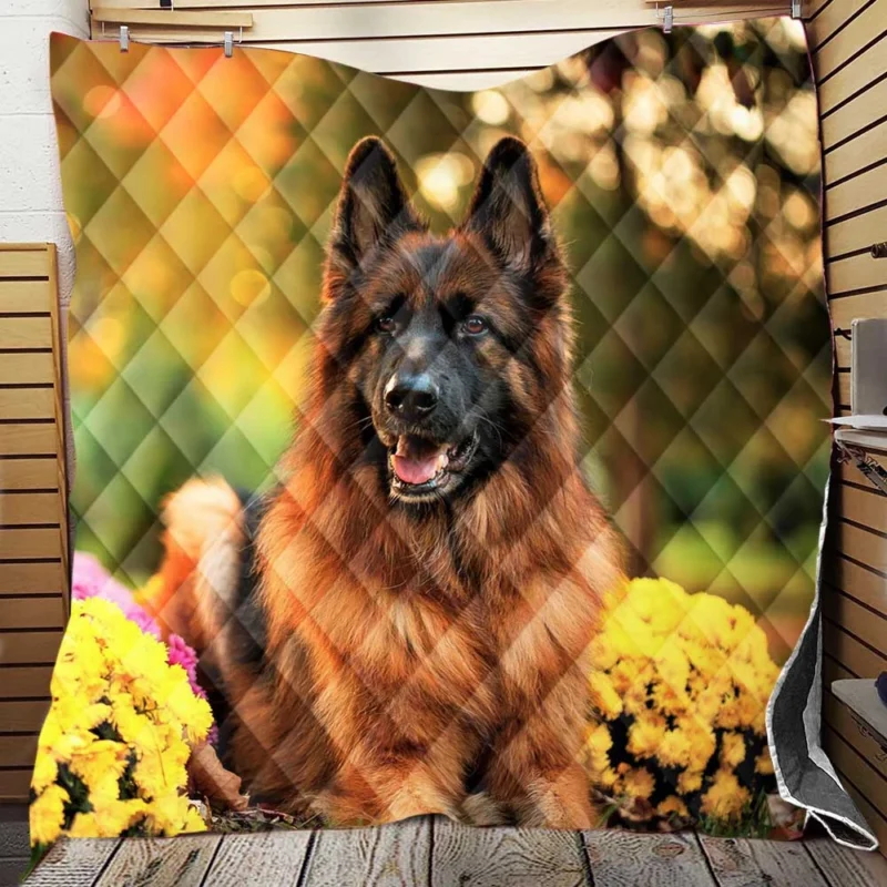 Guard Dogs: German Shepherd Excellence Quilt Blanket