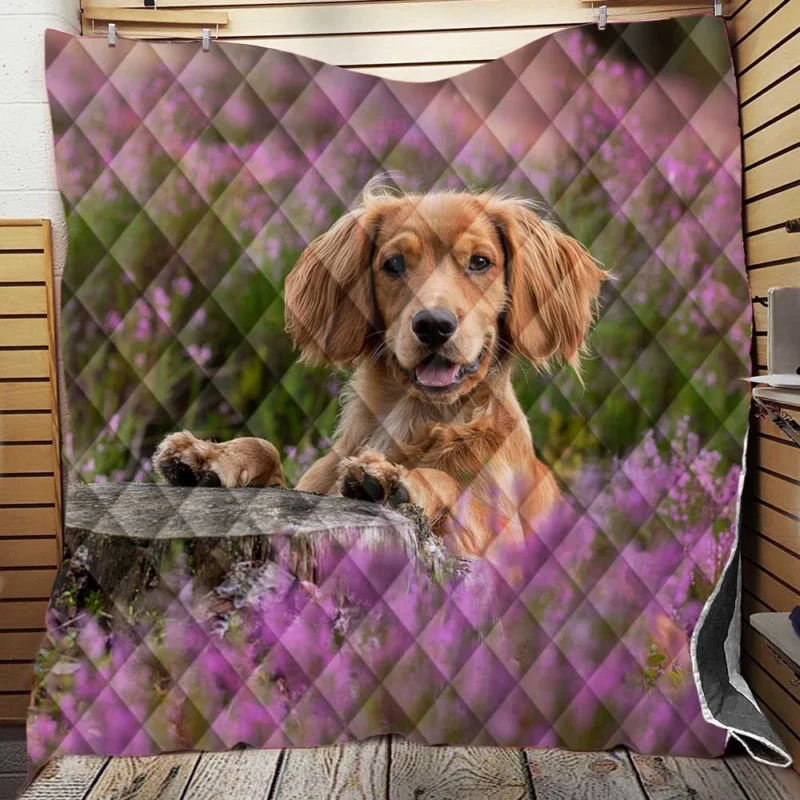 Heather Wonderland: Spaniel Quartet Quilt Blanket