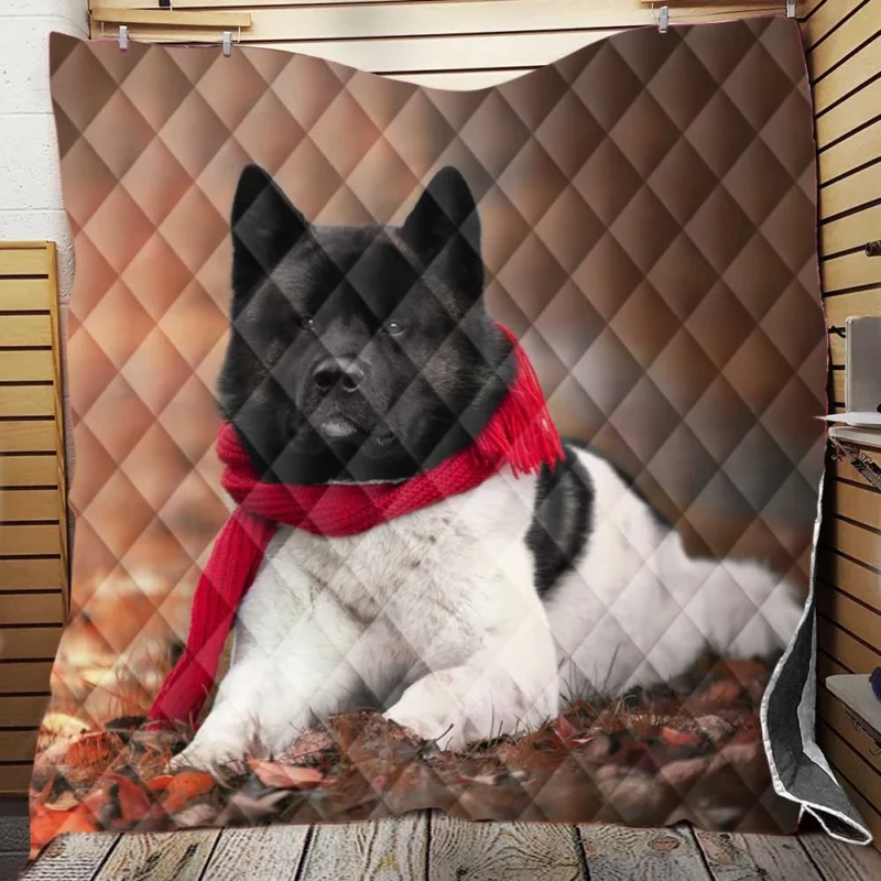 Illuminating Beauty: Akita Quartet in Lantern Light Quilt Blanket