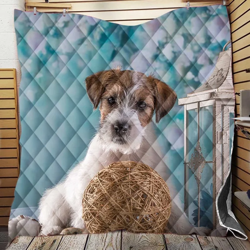 Lantern-Lit Sealyham Terrier Quartet Quilt Blanket