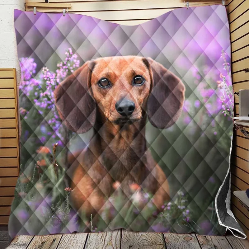 Lavender and Flowers: Dachshund Quartet Quilt Blanket