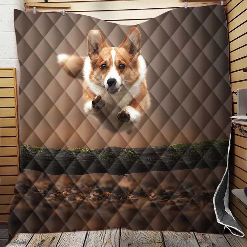 Leaping Corgi Over a Log Quartet Quilt Blanket