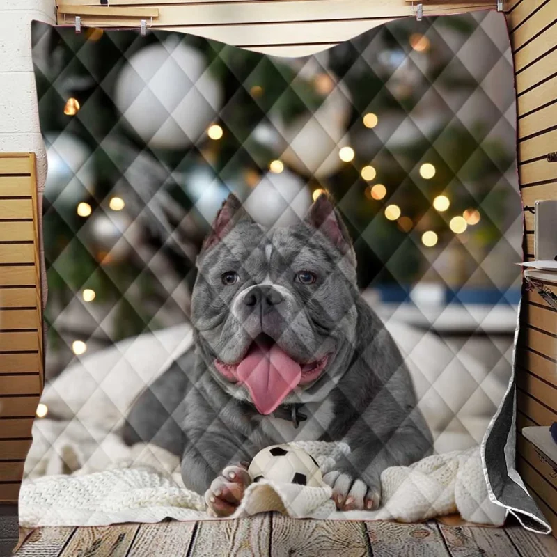 Little Canine Majesty: Pit Bull Quartet Quilt Blanket