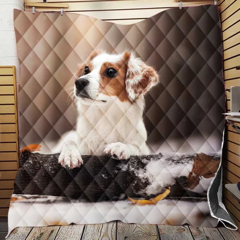 Log Frolic: Kooikerhondje Quartet in Snow Quilt Blanket