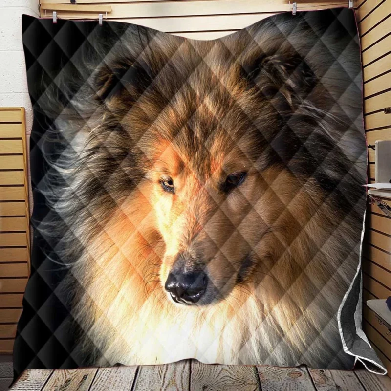 Lovable Collie Elegance: Rough Collie Quartet Quilt Blanket