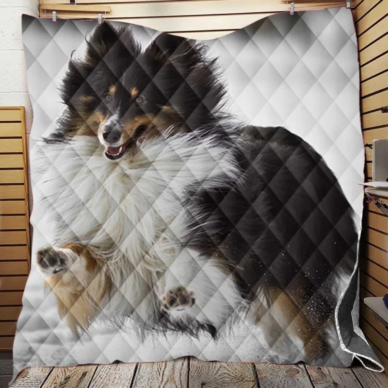 Loving Collie Beauty: Rough Collie Quartet Quilt Blanket