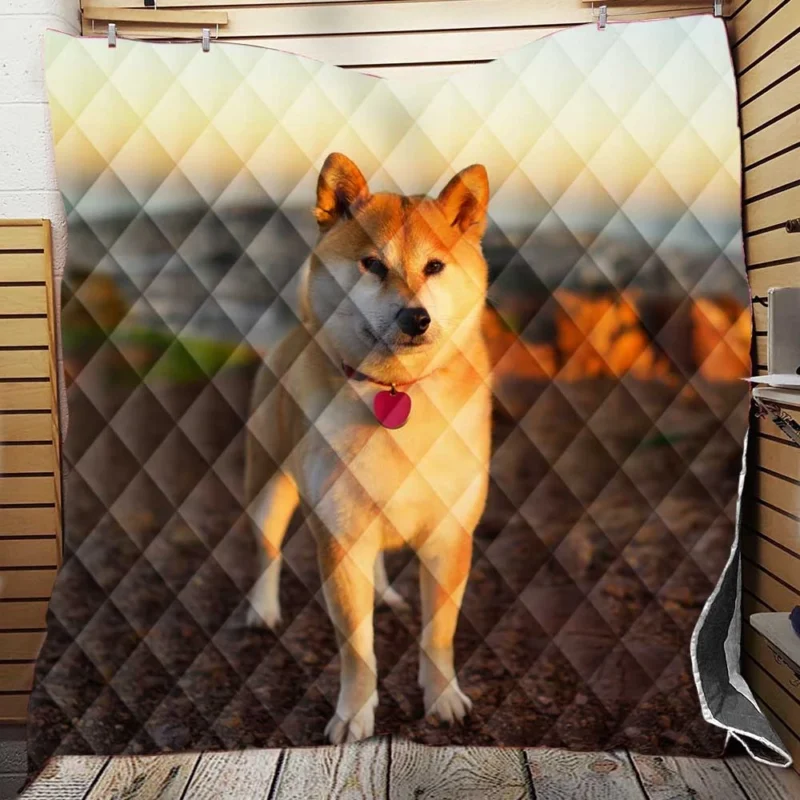 Loyal Elegance in Fourfold: The Akita Quartet Quilt Blanket