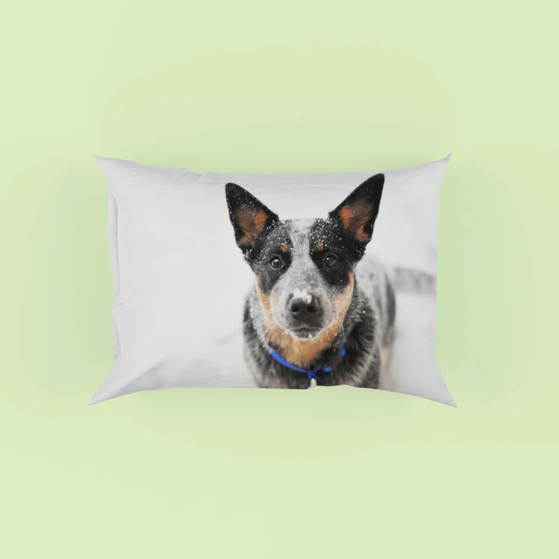 Loyal and Active Dogs: Australian Cattle Dog Pillow Cases