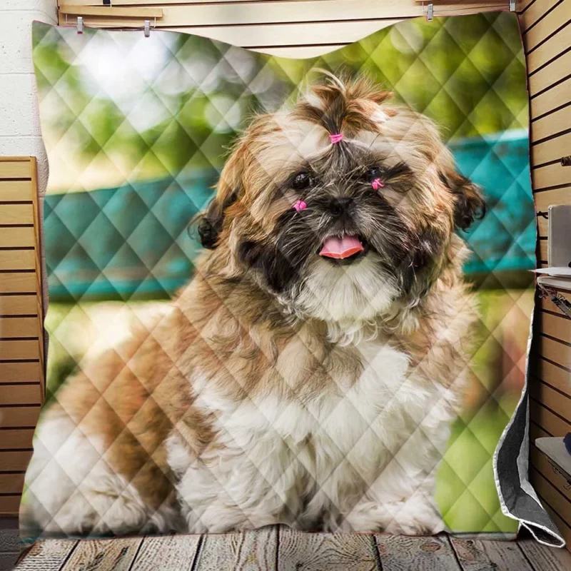 Magical Bokeh Setting: Shih Tzu Quartet Quilt Blanket