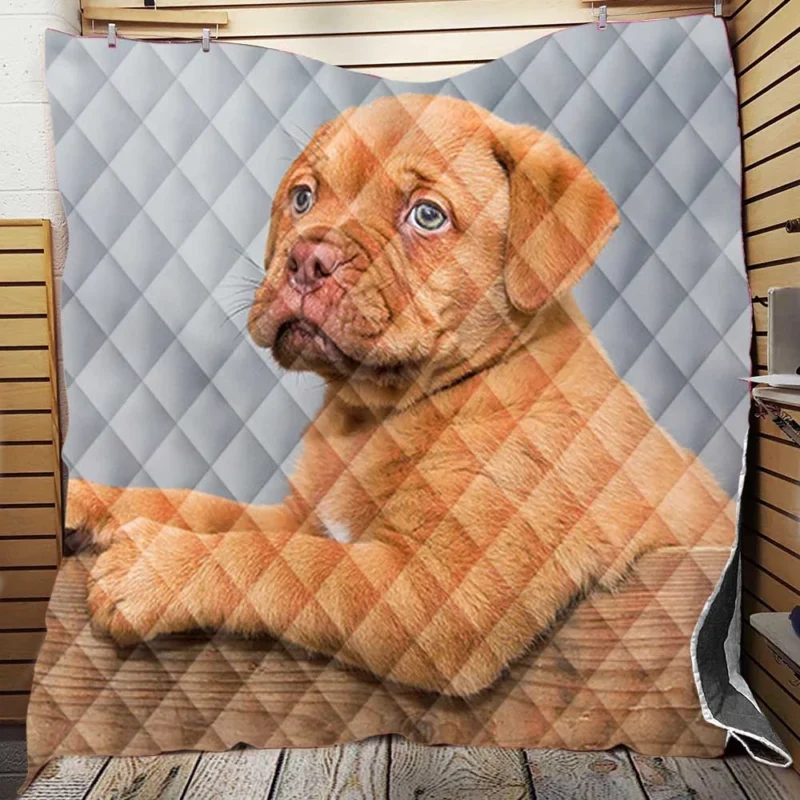 Mastiff Puppy in a Box: Dogue de Bordeaux Quartet Quilt Blanket