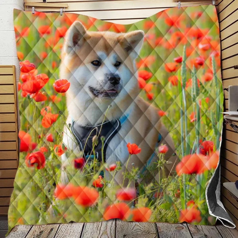 Meadow Moments with Poppies: Akita Quartet Quilt Blanket