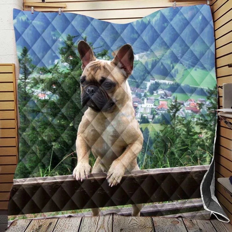 Meet Charlie: French Bulldog Star Quilt Blanket