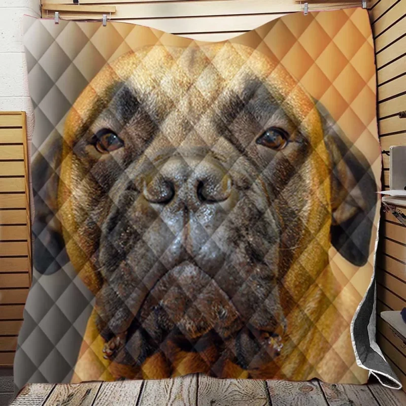 Muzzle Magic in Blur: Bullmastiff Quartet Quilt Blanket