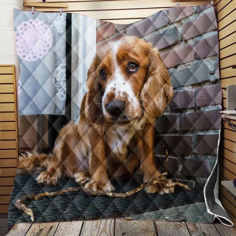 Muzzle Magic with Cocker Spaniels Quilt Blanket