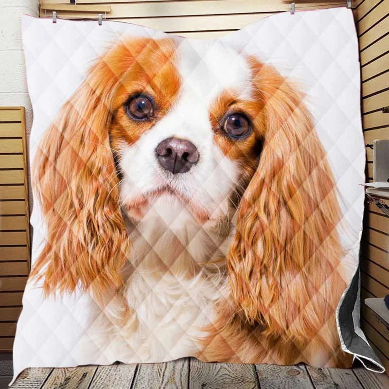 Muzzle and Puppy: Cavalier King Charles Spaniels Quilt Blanket