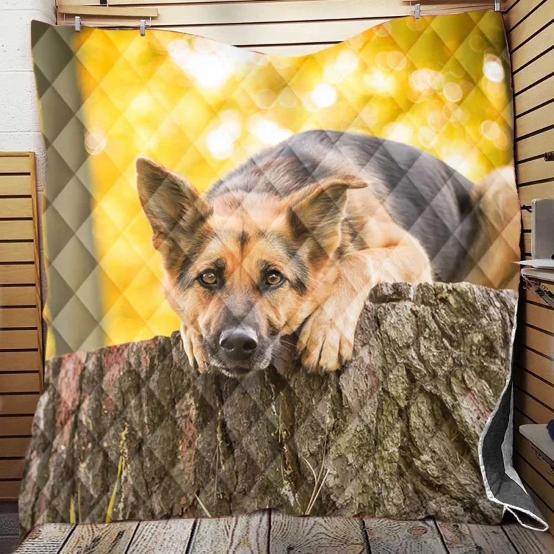 Nature Duo: German Shepherd Bokeh Stump Quilt Blanket