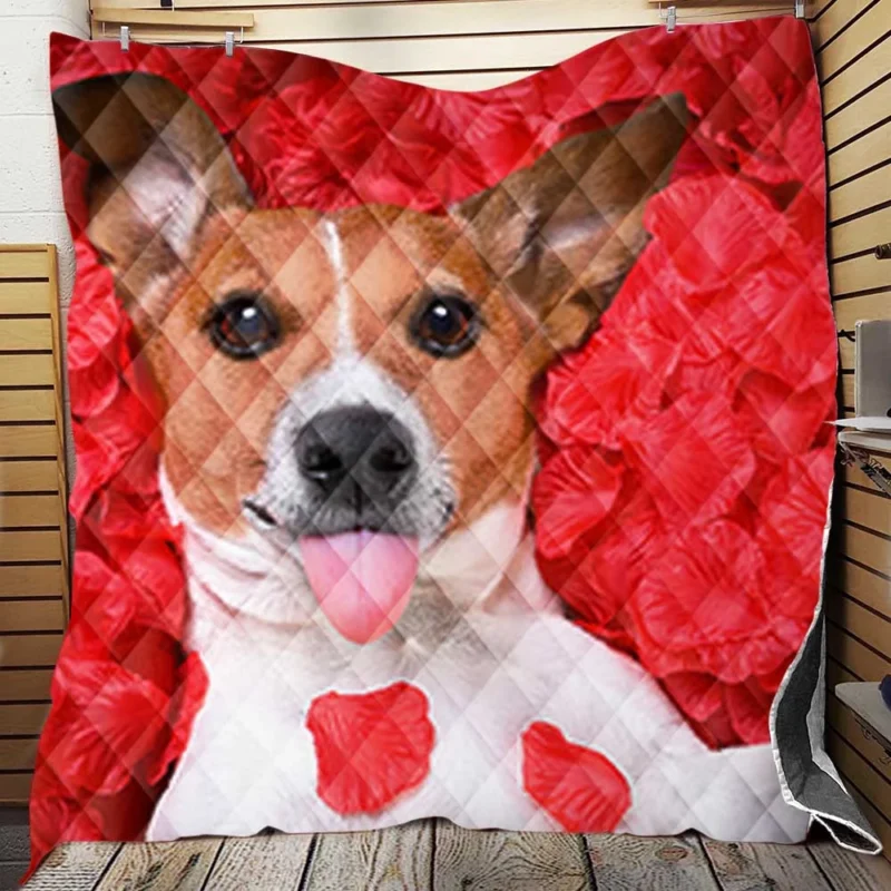 Petal Beauty: Jack Russell Terriers in Quartet Quilt Blanket