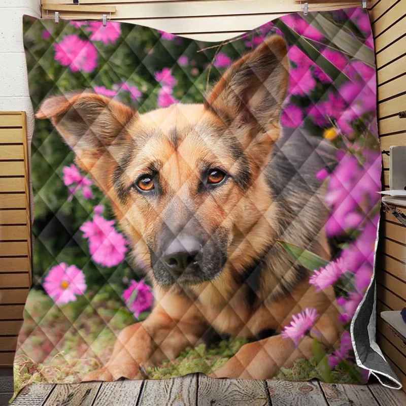 Pink Daisy Beauty: German Shepherd Puppies Quilt Blanket