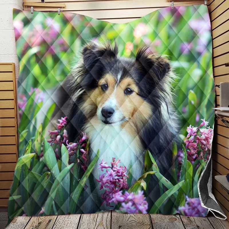 Pink Floral Splendor: Shetland Sheepdog Quartet Quilt Blanket