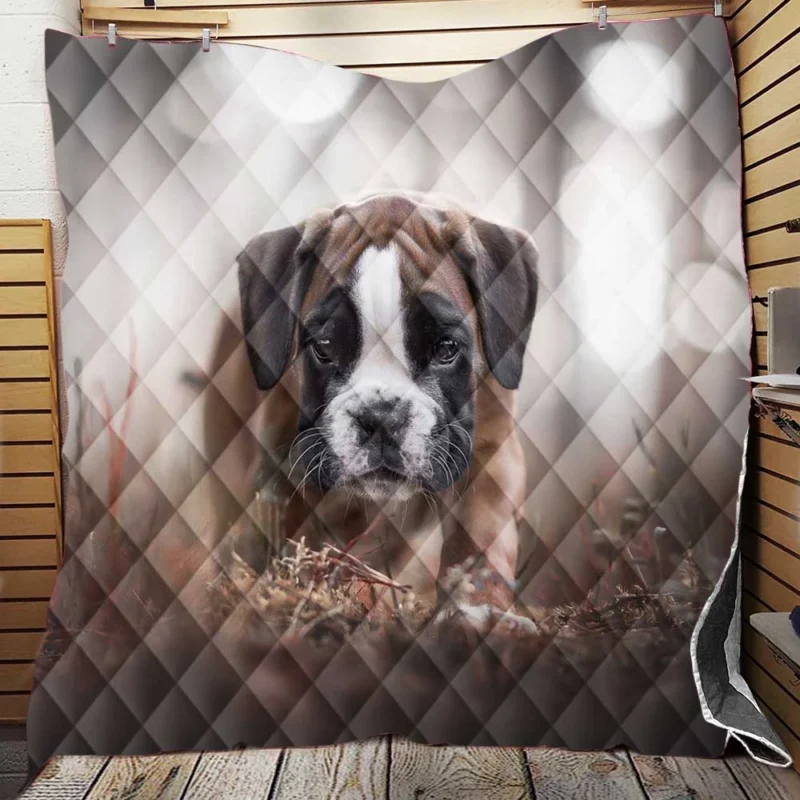 Playful Boxer Pups with Ba: Boxer Quilt Blanket