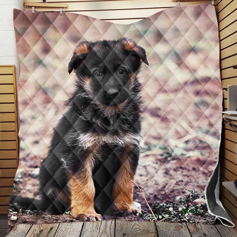 Playful Innocence: German Shepherd Puppy Quilt Blanket