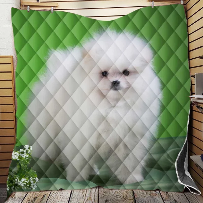 Playful Puppies in Harmony: Spitz Quartet Quilt Blanket