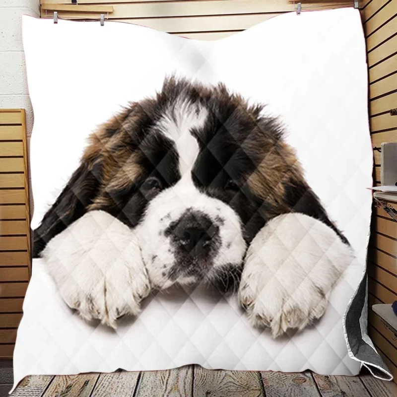 Playful Pups: Saint Bernard Quartet Quilt Blanket