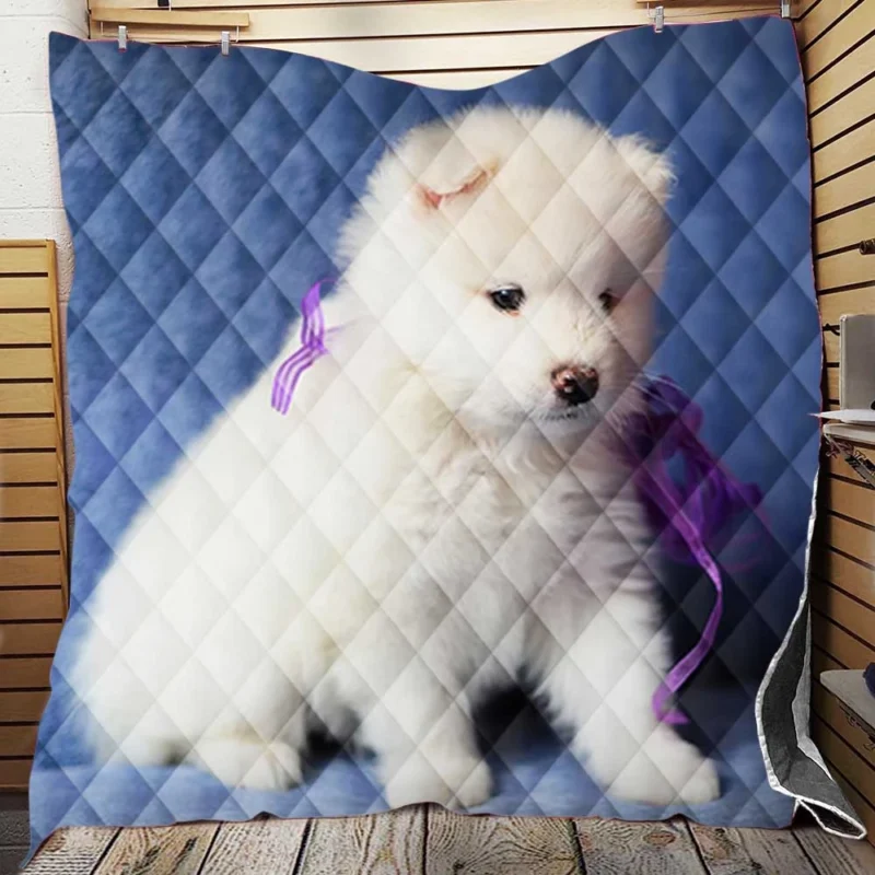 Playful Samoyed Pup: Quartet Quilt Blanket