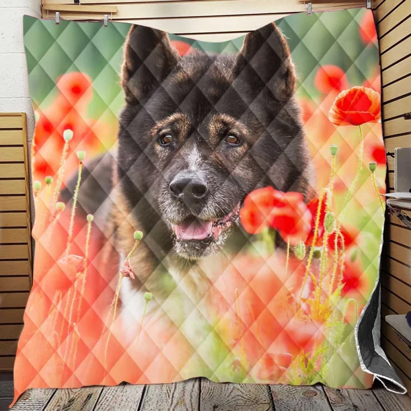 Poppy Perfection: A Red Summer with Akita Quartet Quilt Blanket