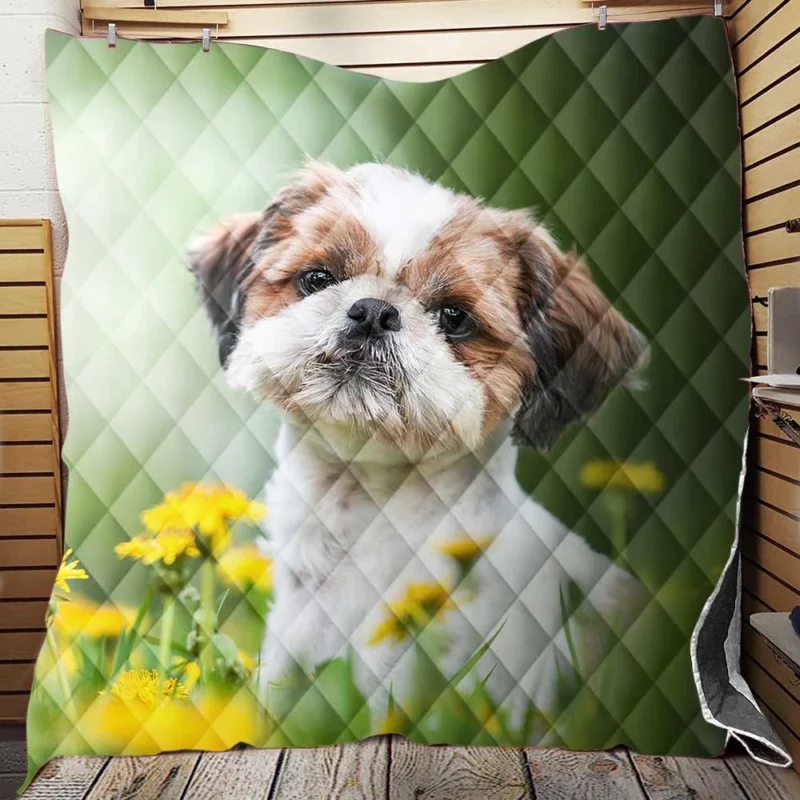 Portrait of Elegance: Shih Tzu Quartet Quilt Blanket