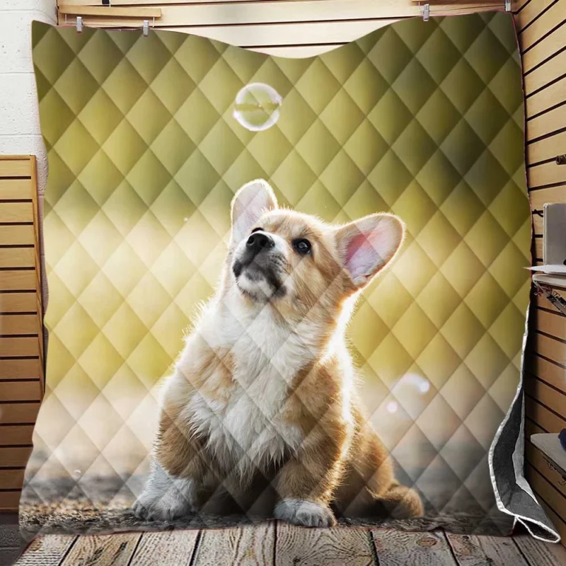 Puppies Surrounded by Bubbles: Corgi Quartet Quilt Blanket