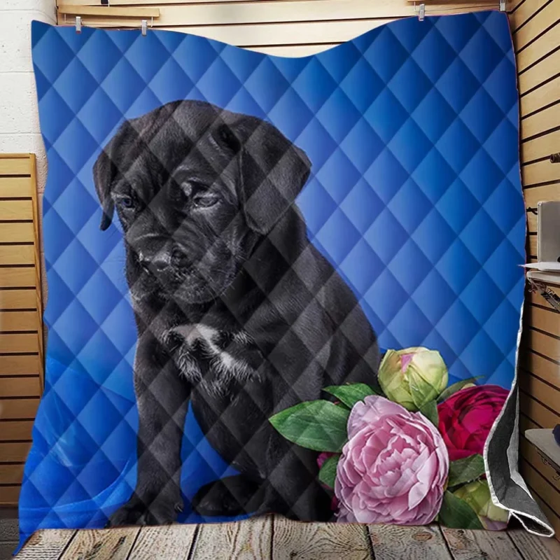 Puppies and Playful Baubles: Cane Corso Quartet Quilt Blanket