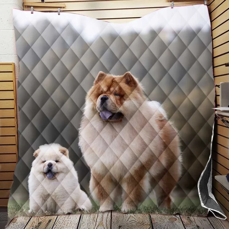 Puppies in a Bauble: Chow Chow Quartet Quilt Blanket