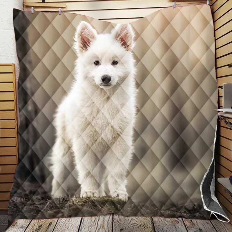 Puppy Dog: Samoyed Quartet Quilt Blanket