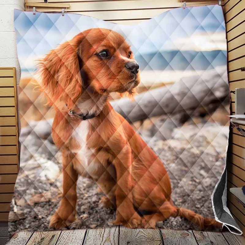 Pure Cuteness: Adorable Little Spaniel Puppy Quilt Blanket