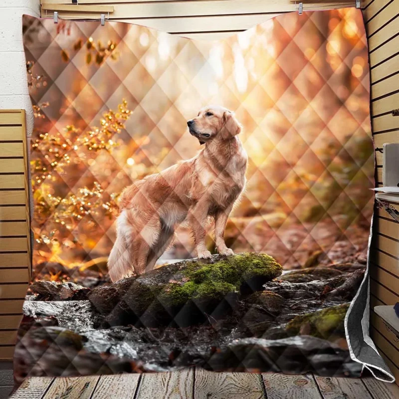 Quadruple Canine Charm: Golden Retrievers Quilt Blanket