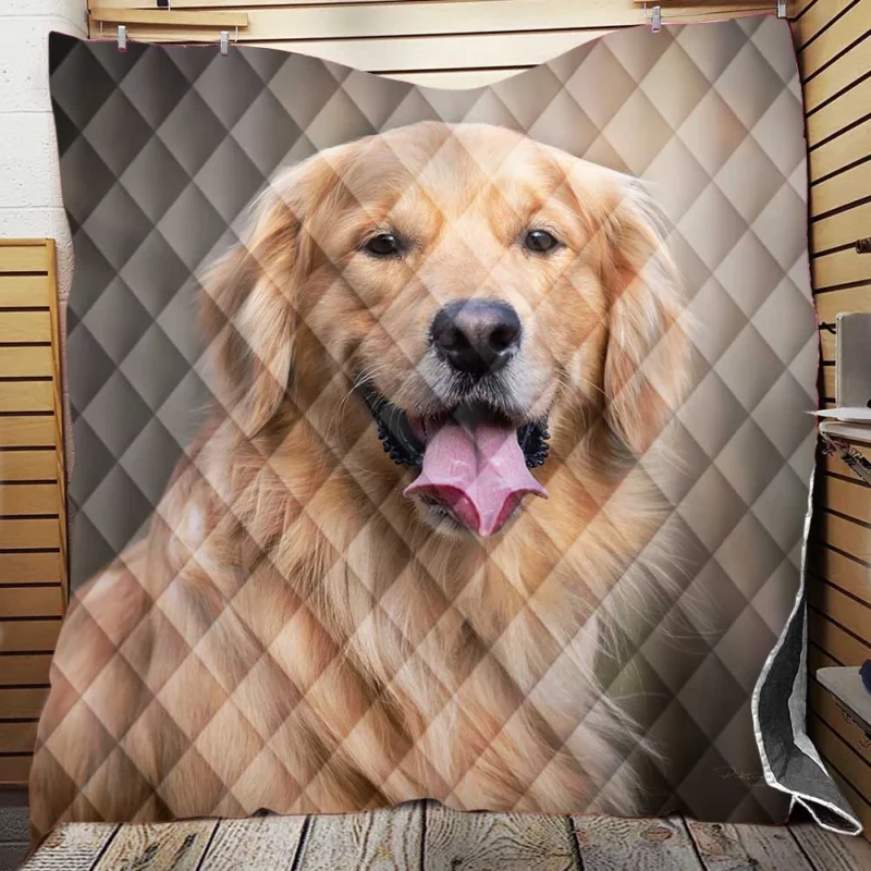 Quadruple Canine Grace: Golden Retrievers Quilt Blanket