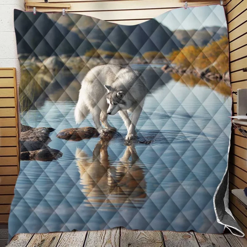 Quadruple Siberian Beauty: Husky Reflections Quilt Blanket