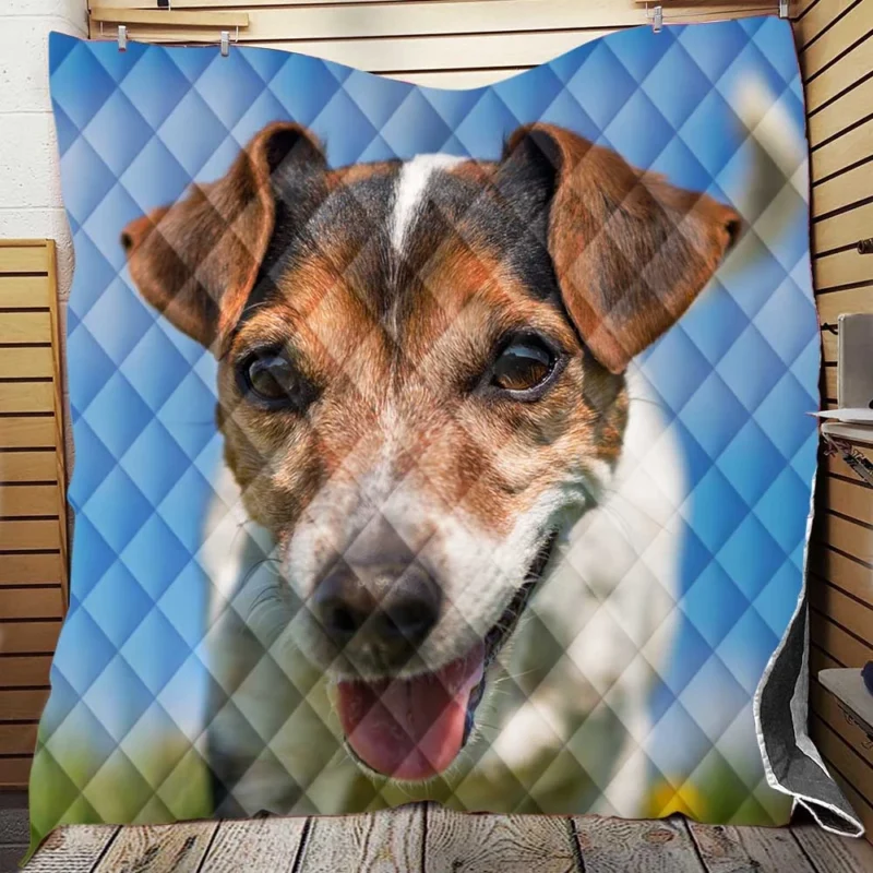 Quartet of Energetic Companions: Jack Russell Terriers Quilt Blanket