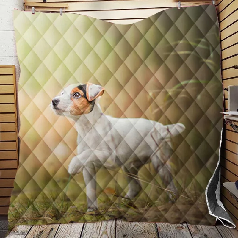 Quartet of Energetic Puppies: Jack Russell Terriers Quilt Blanket