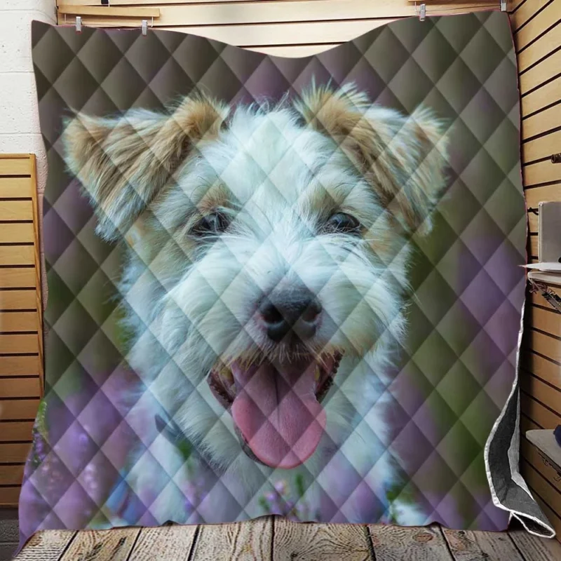 Quartet of Playful Companions: Jack Russell Terriers Quilt Blanket