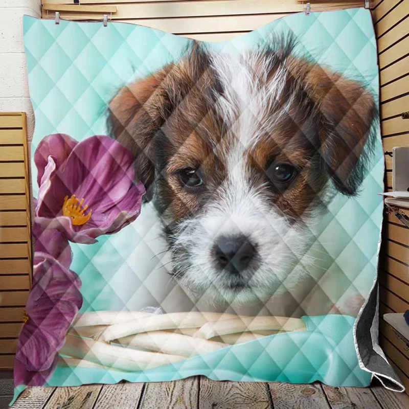 Quartet of Playful Puppies: Jack Russell Terriers Quilt Blanket