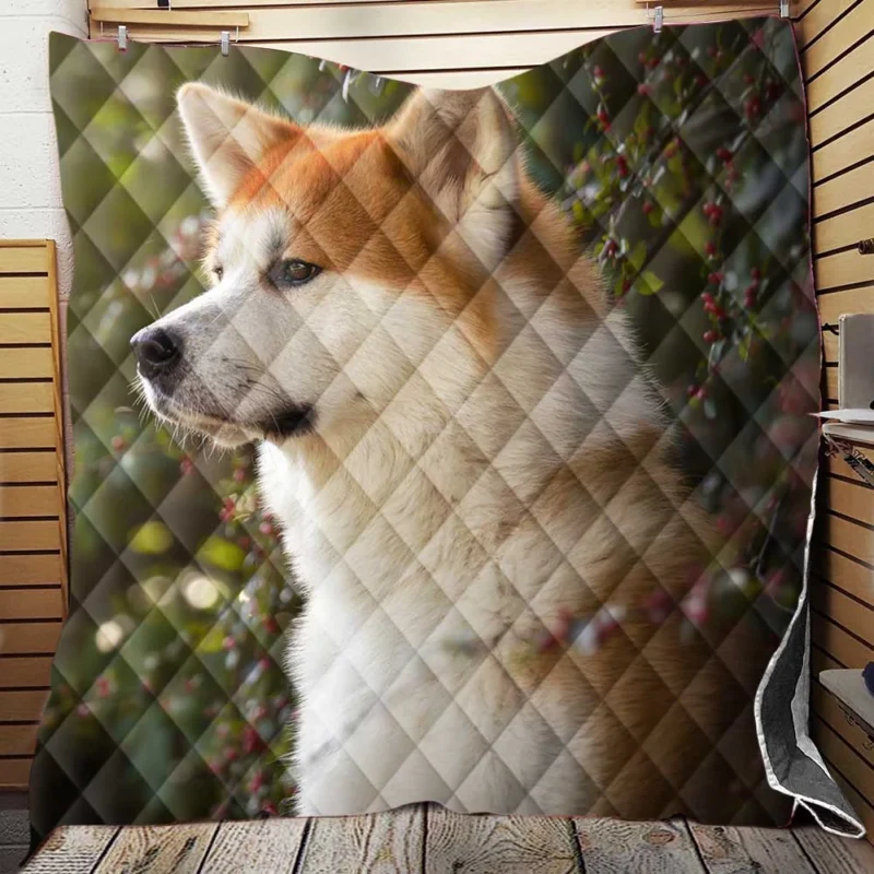 Radiant Shiba Inu Quartet Quilt Blanket