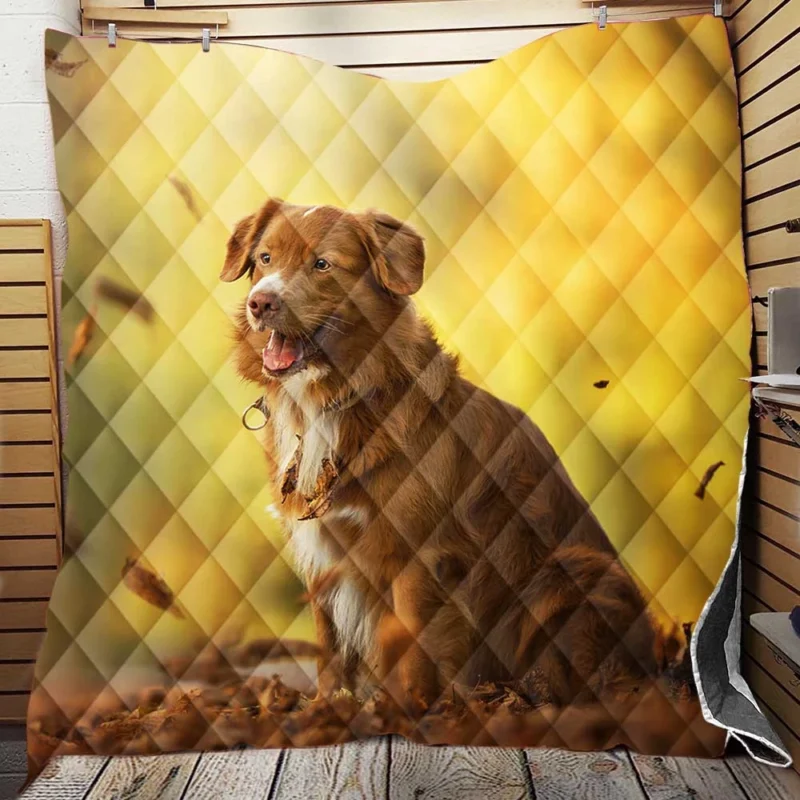 Reflection Quartet: Newfoundland Dog Quilt Blanket